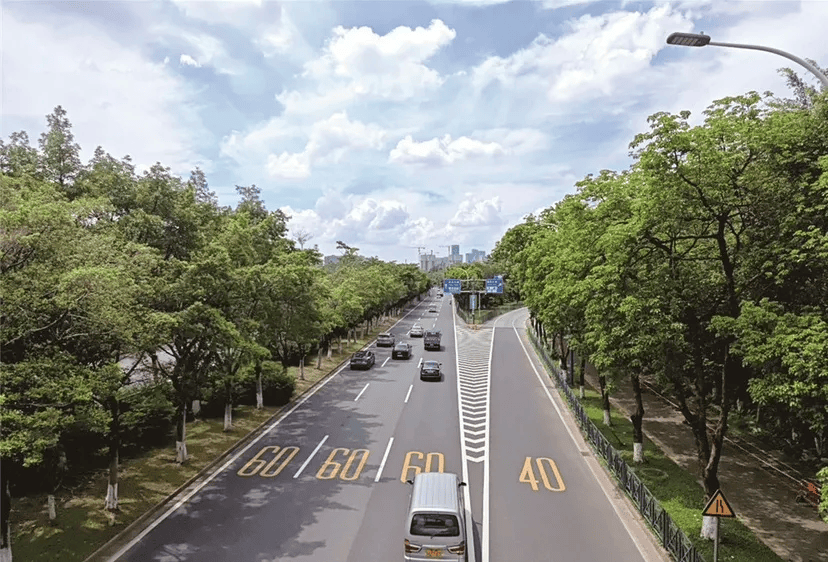 落地番禺房车旅行仪式感拉满新葡京网上赌场综艺同款生活(图1)