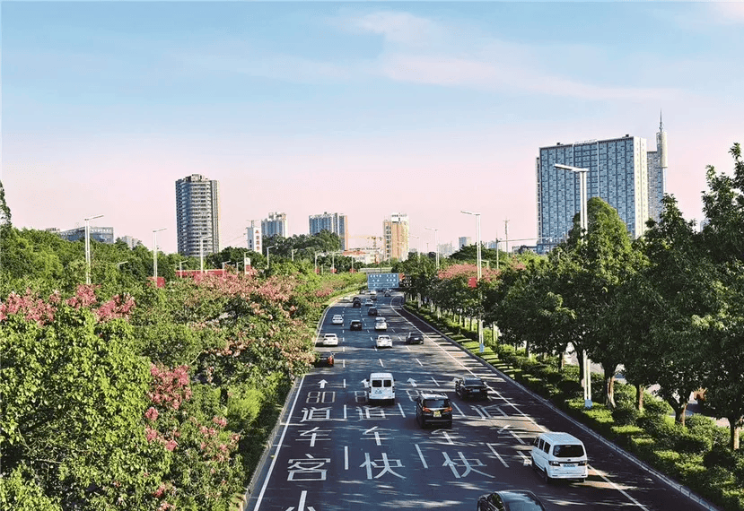 落地番禺房车旅行仪式感拉满新葡京网上赌场综艺同款生活(图5)